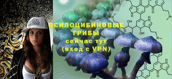 apvp Богородск