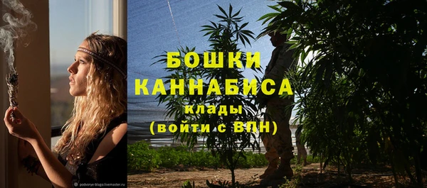 экстази Богданович