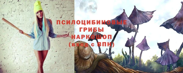 apvp Богородск